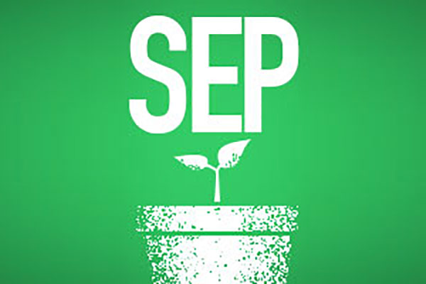 SEP over illustration of a seedling in a pot